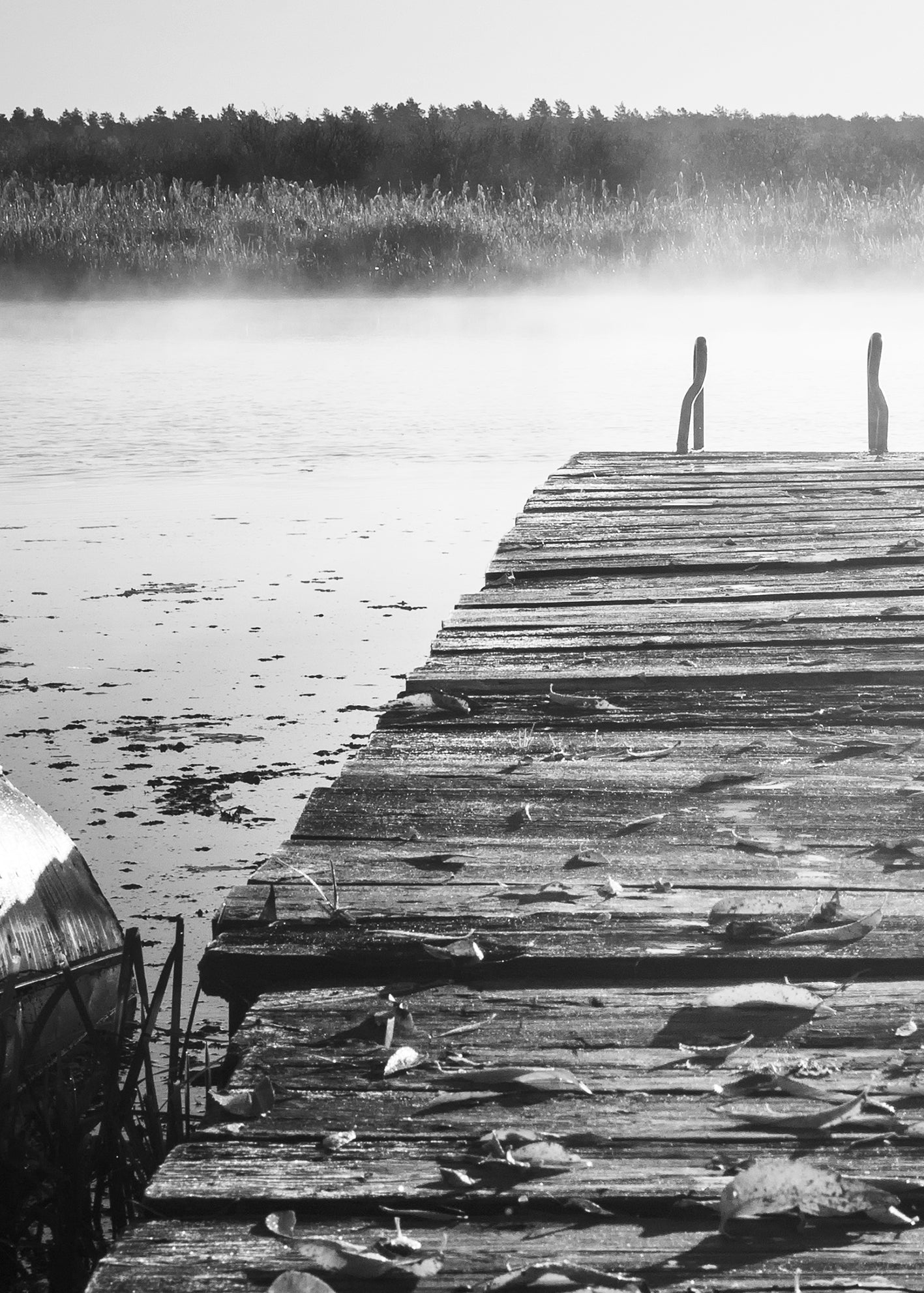 Canvastavla - Into The Distance