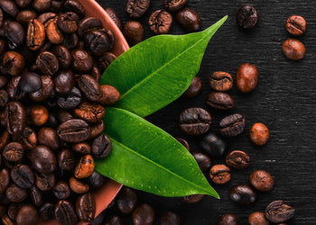 Canvastavla - Arabica
