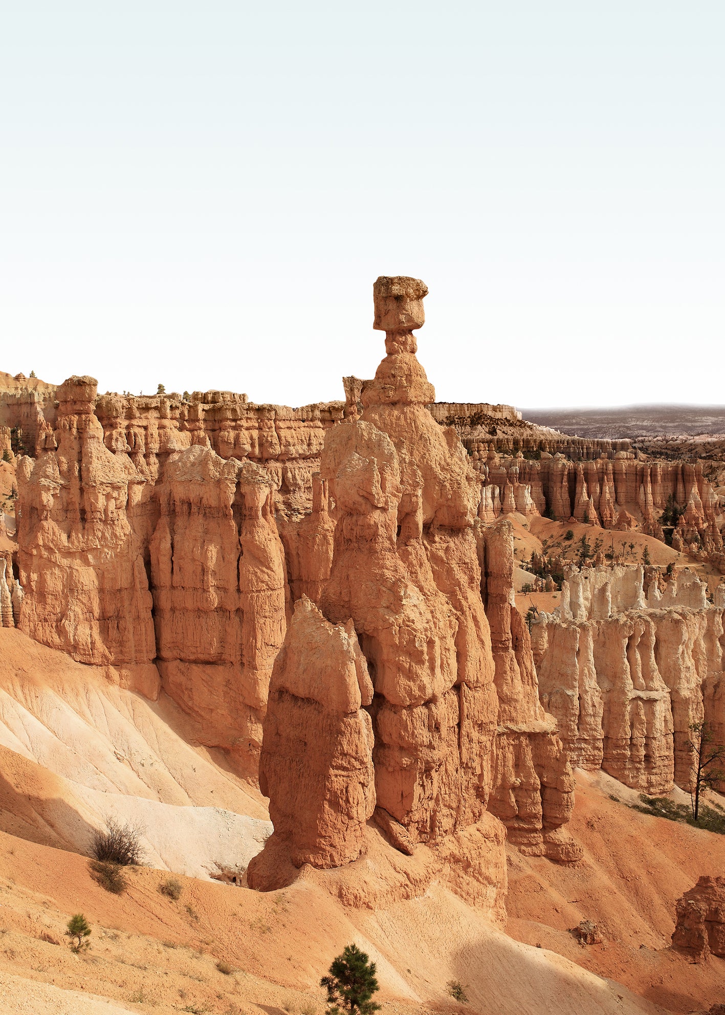 Canvastavla - Pink Cliffs
