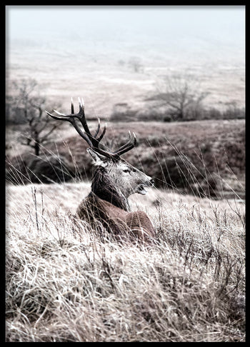 Poster - Shades of Winter