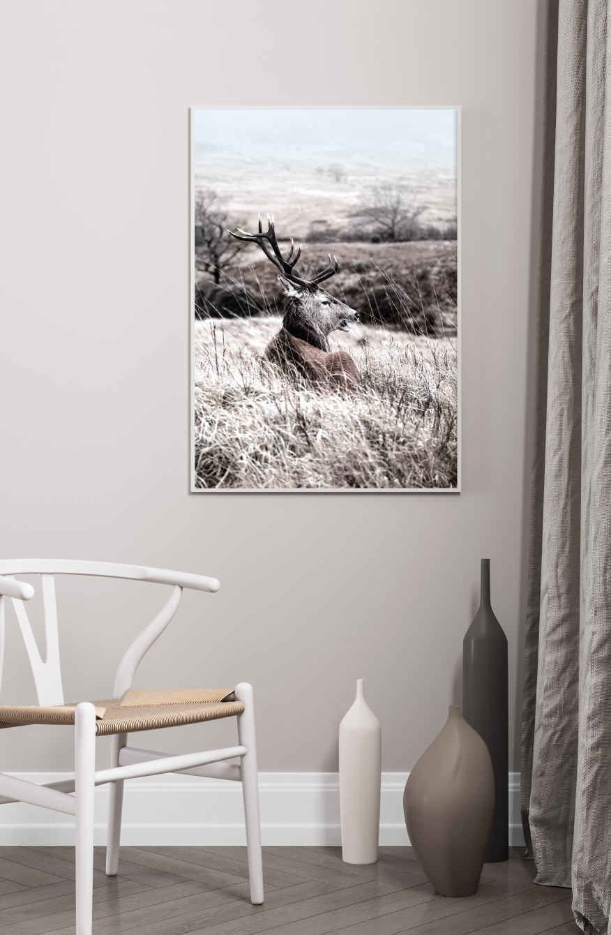 Poster - Shades of Winter