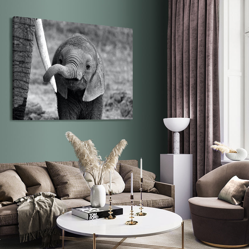 Ljuddämpande tavla - Elefant
