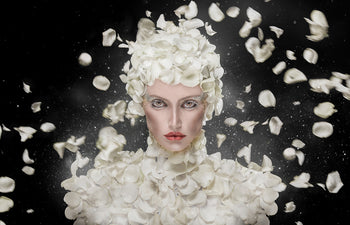 Ljuddämpande tavla - Tavla White Rose