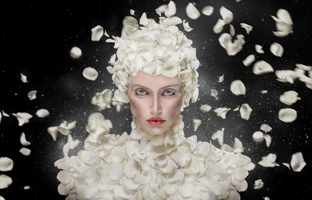 Ljuddämpande tavla - Tavla White Rose