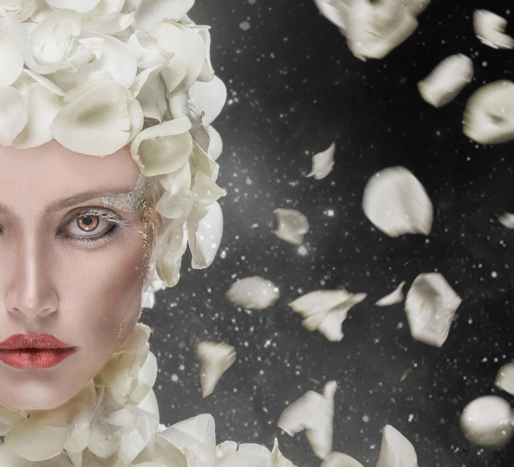 Ljuddämpande tavla - Tavla White Rose