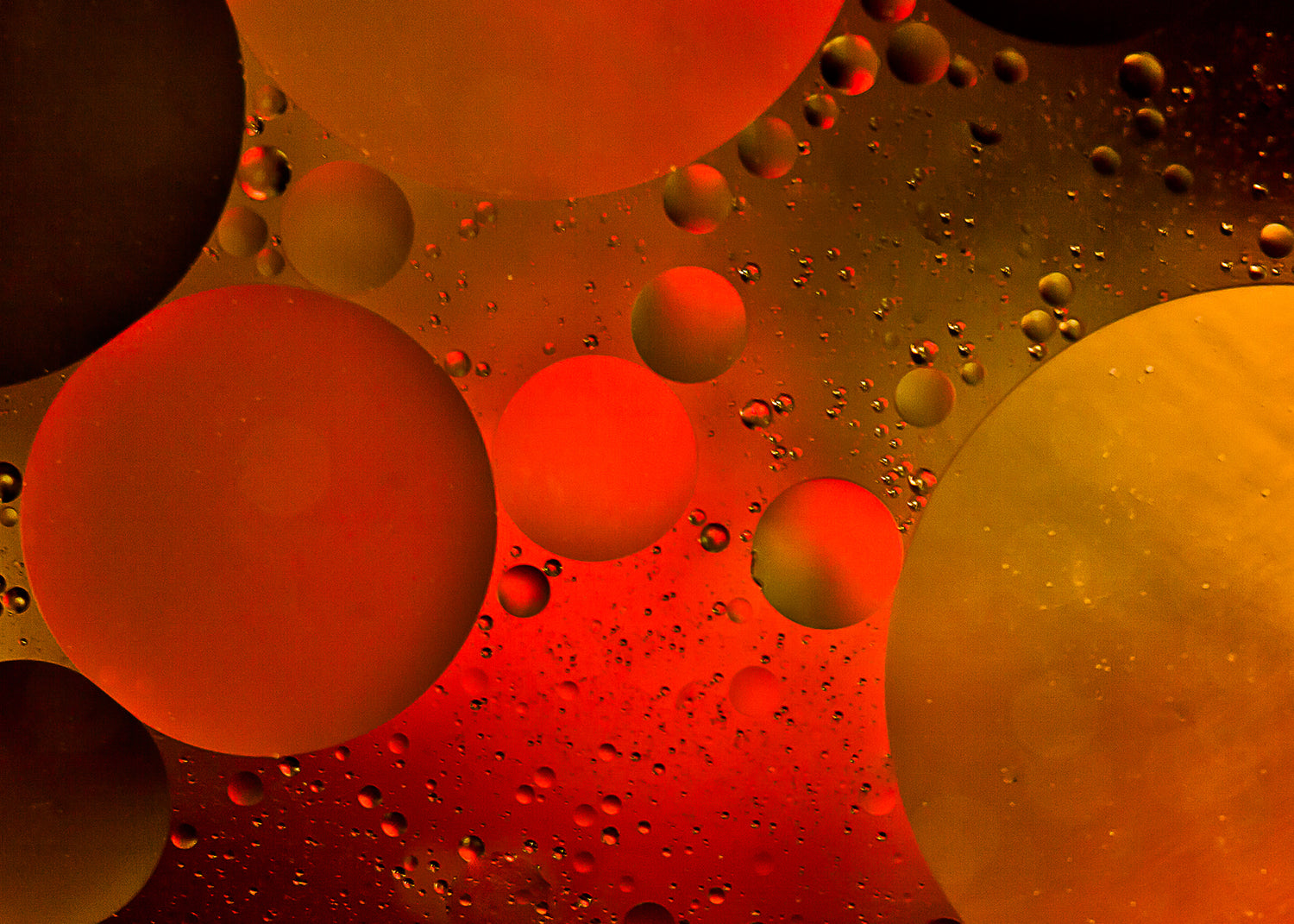 Ljuddämpande tavla - Tavla Bubbles