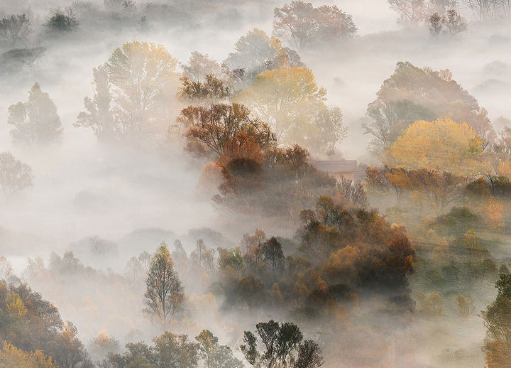 Ljuddämpande tavla - Autumns