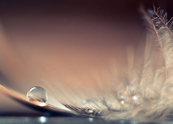 Ljuddämpande tavla - Feather