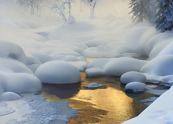 Ljuddämpande tavla - Vinter