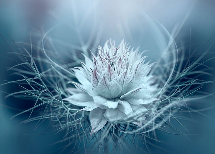 Ljuddämpande tavla - Lotus