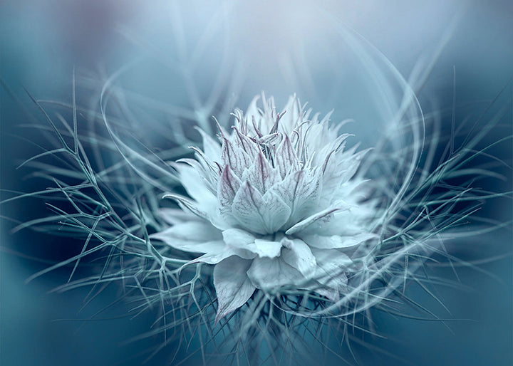 Ljuddämpande tavla - Lotus