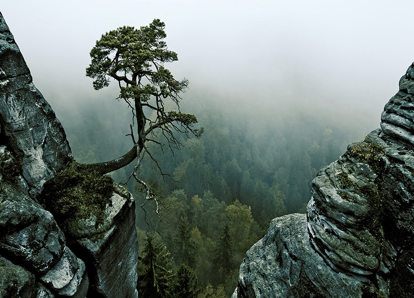 Ljuddämpande tavla - Cliffs