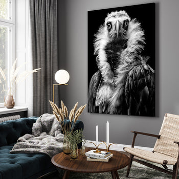 Ljuddämpande tavla - Vulture