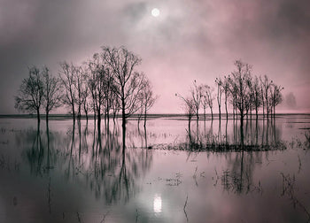 Ljuddämpande tavla - Lake´s Secret