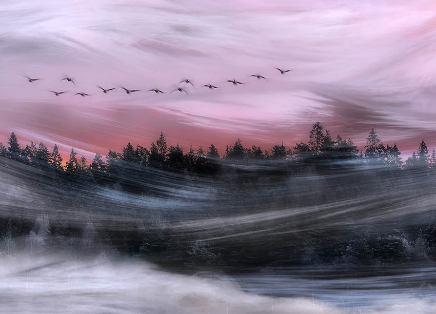 Ljuddämpande tavla - Leaving at dawn
