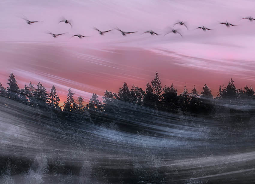Ljuddämpande tavla - Leaving at dawn