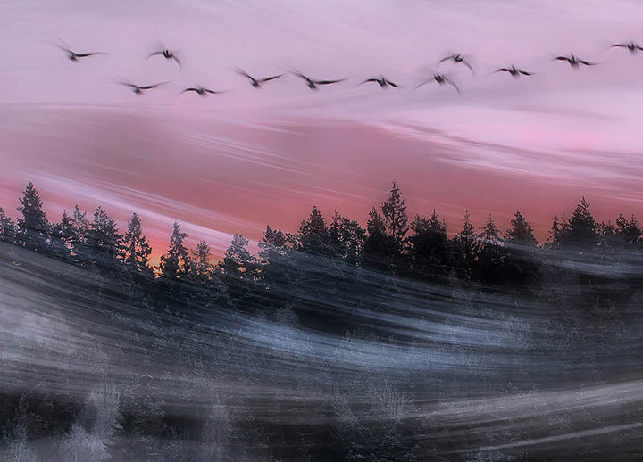 Ljuddämpande tavla - Leaving at dawn