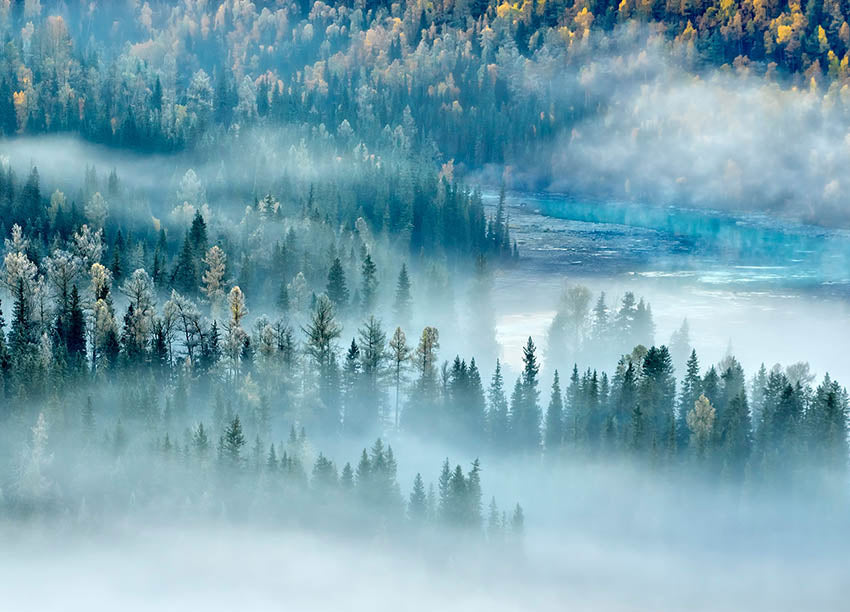 Ljuddämpande tavla - River and Forest