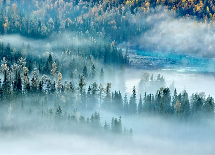 Ljuddämpande tavla - River and Forest