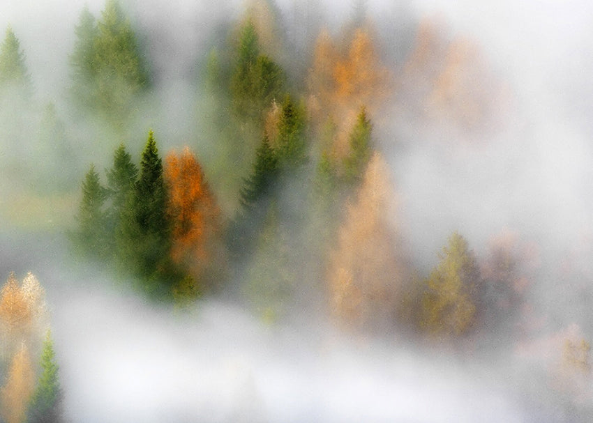 Ljuddämpande tavla - Winter's Vail