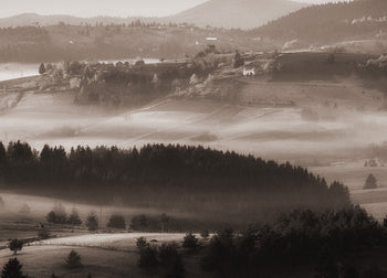 Ljuddämpande tavla - Misty Scape