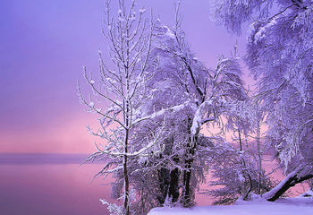 Ljuddämpande tavla - Stillness