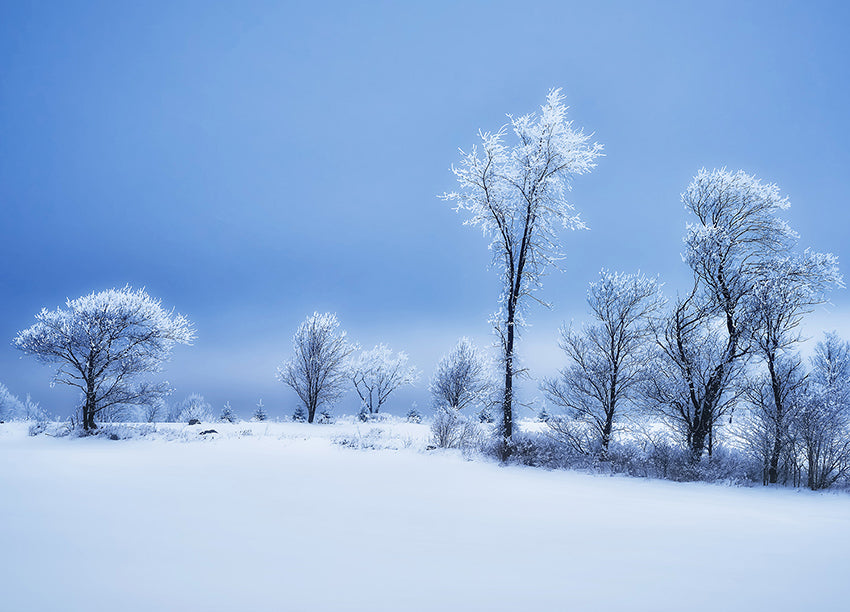 Ljuddämpande tavla - Winterland