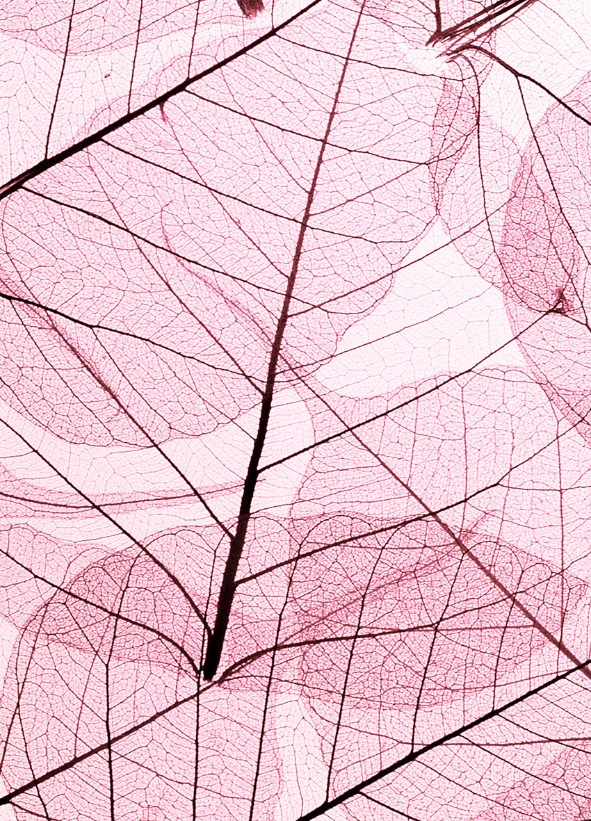 Ljuddämpande tavla - Leafs