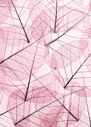 Ljuddämpande tavla - Leafs