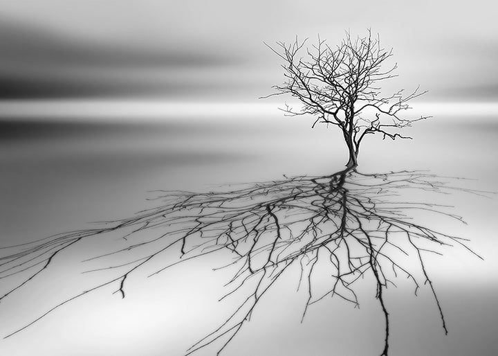 Ljuddämpande tavla - Even the dead cast shadows