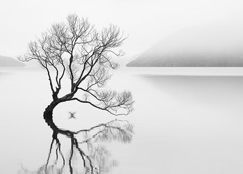 Ljuddämpande tavla - Serenity