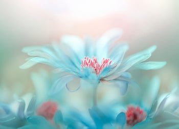 Ljuddämpande tavla - Blue Splendor