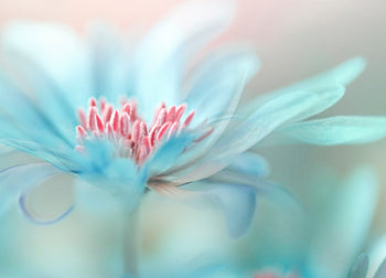 Ljuddämpande tavla - Blue Splendor