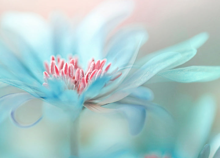Ljuddämpande tavla - Blue Splendor