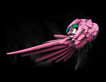 Ljuddämpande tavla - Rosy Macaw