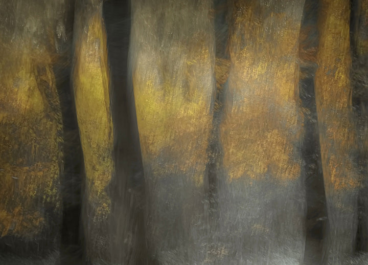 Ljuddämpande tavla - Autumn Shadows