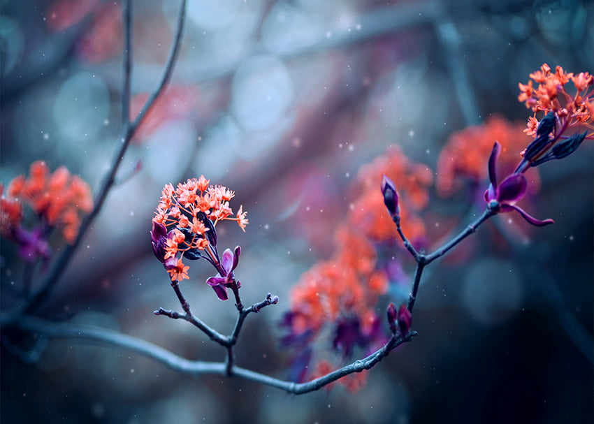 Ljuddämpande tavla - Bloom