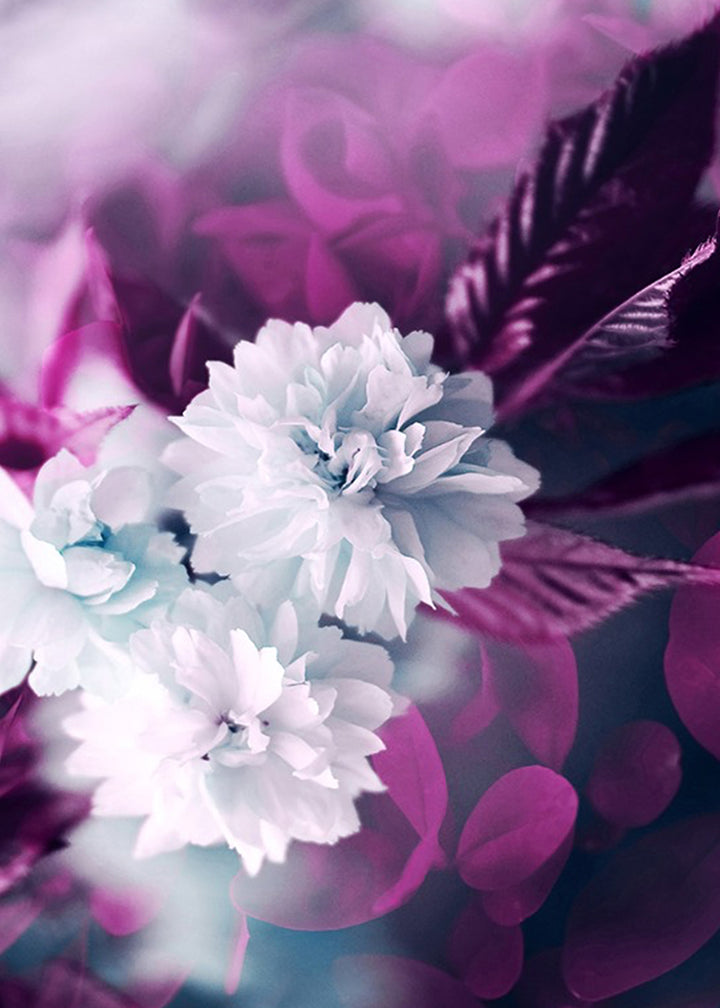 Ljuddämpande tavla - Purple and white