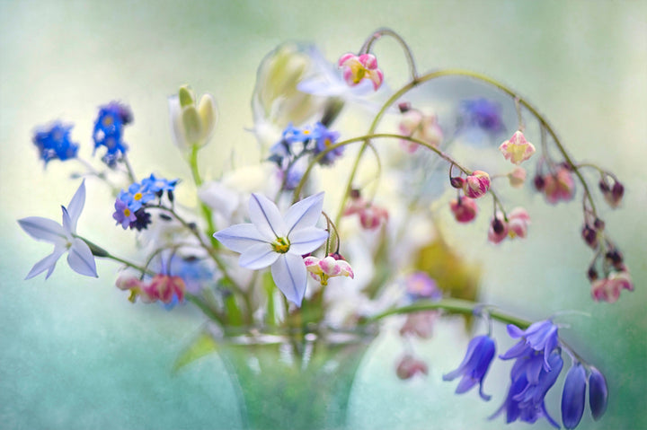 Ljuddämpande tavla - Wild flowers