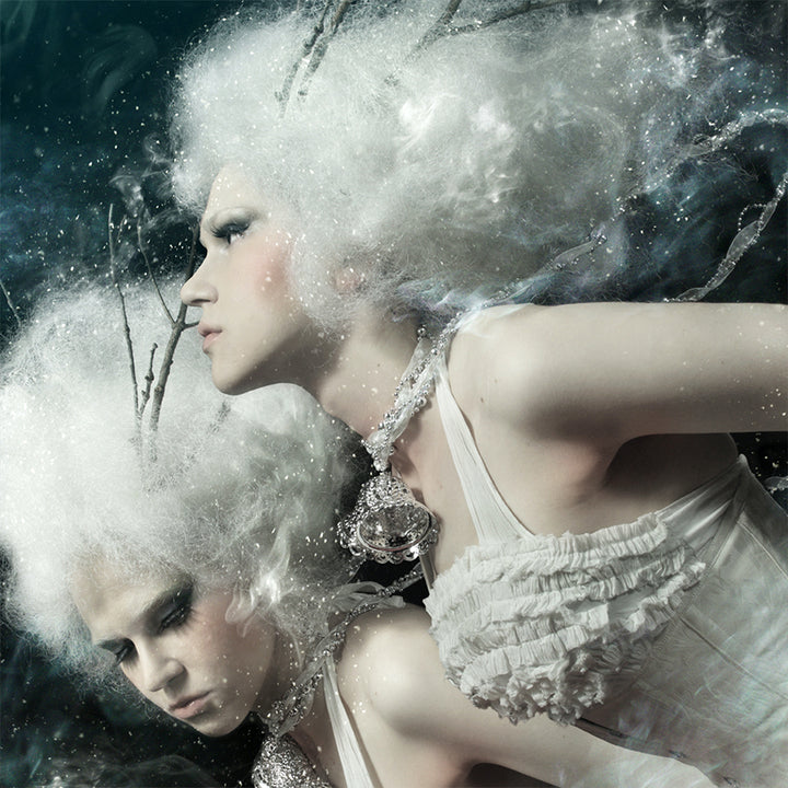 Ljuddämpande tavla - Spirits of the winter field
