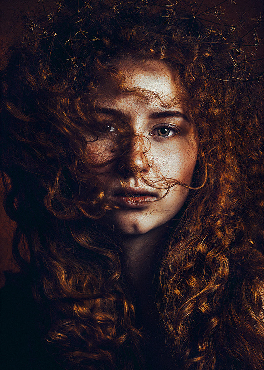 Ljuddämpande tavla - And God said, let there be redheads