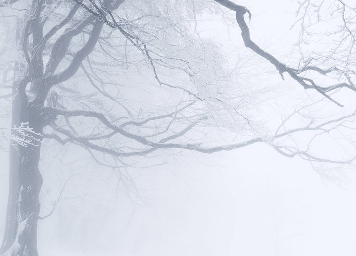 Ljuddämpande tavla - In The Winter Forest