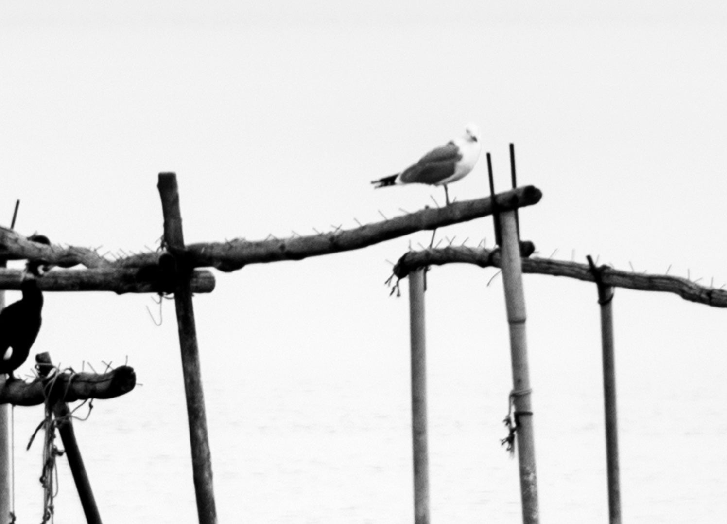 Ljuddämpande tavla - A Quiet Place