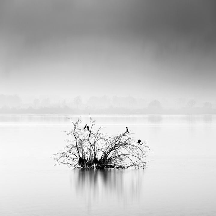 Ljuddämpande tavla - Silence