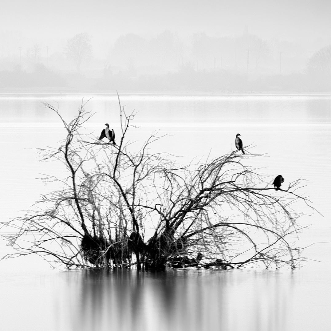 Ljuddämpande tavla - Silence