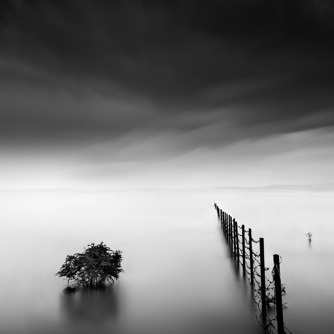 Ljuddämpande tavla - Fence in the Lake