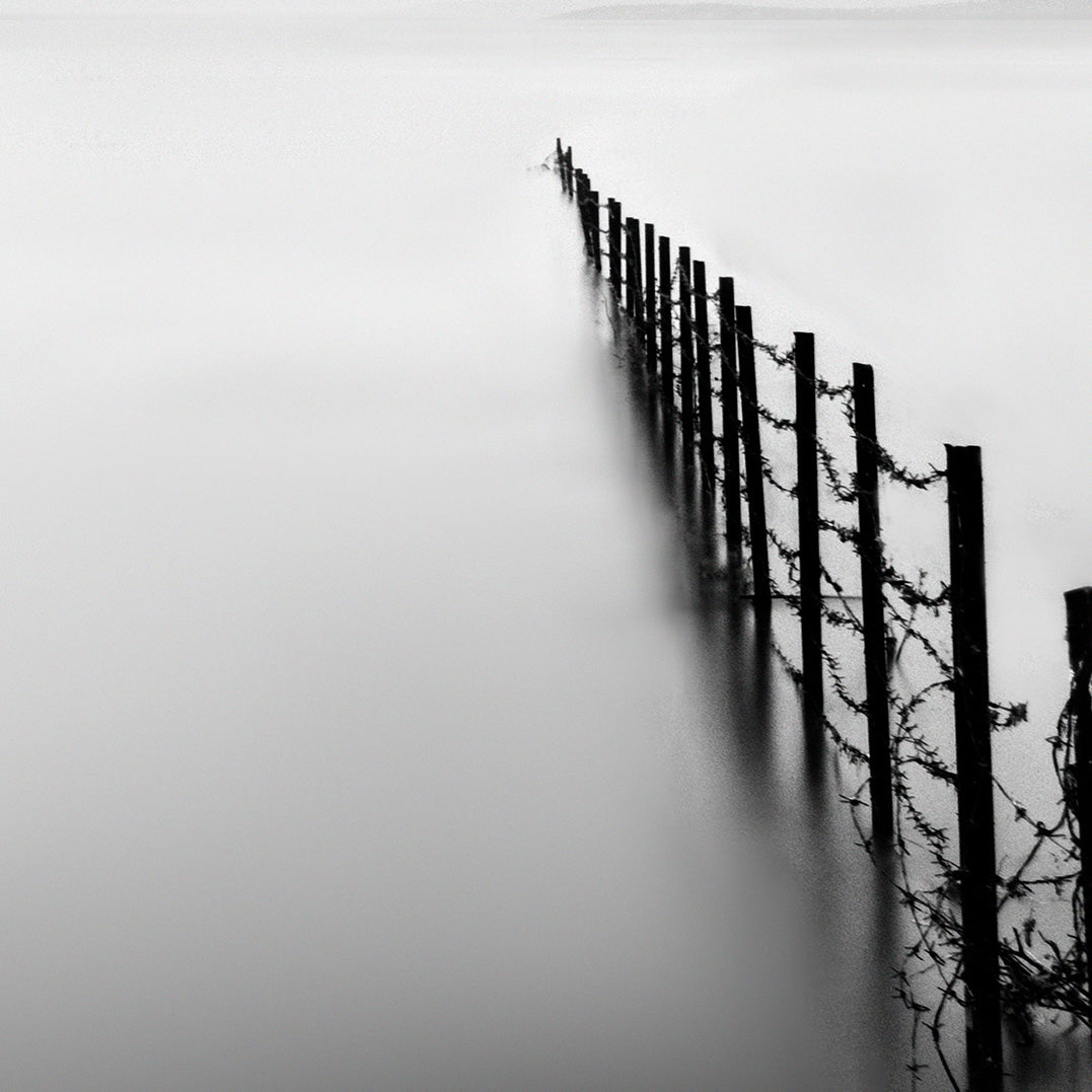 Ljuddämpande tavla - Fence in the Lake