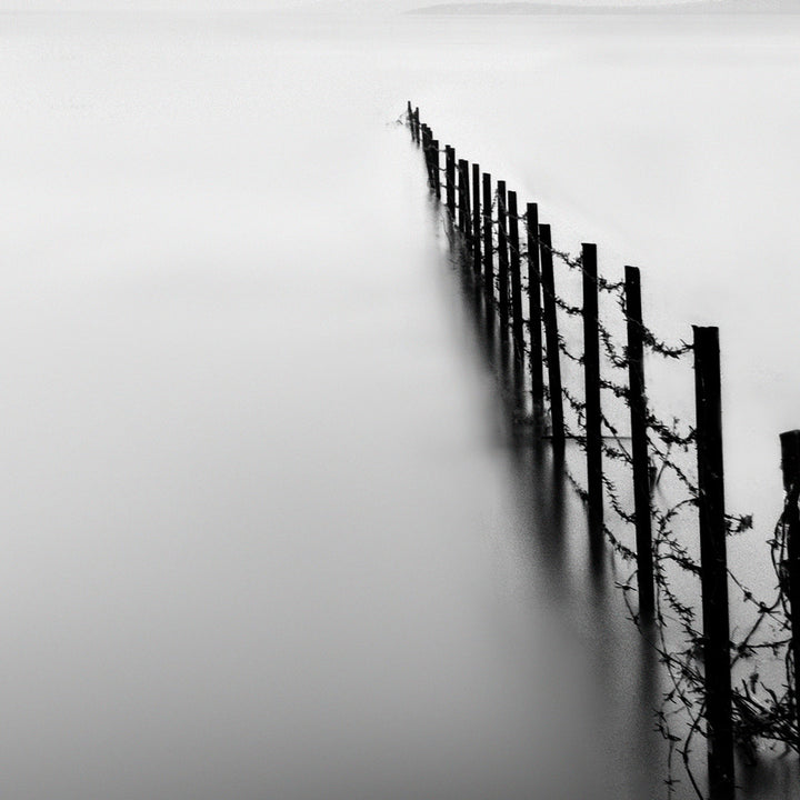 Ljuddämpande tavla - Fence in the Lake