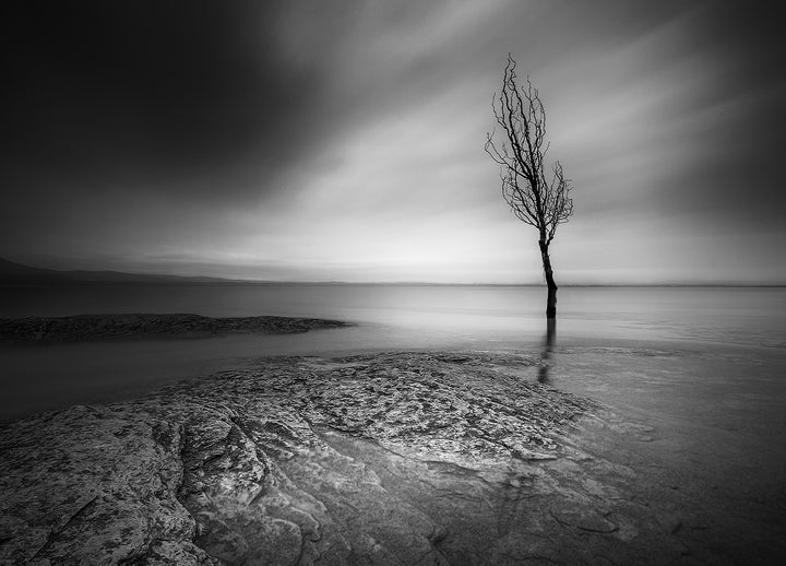 Ljuddämpande tavla - While Clouds Slip Away