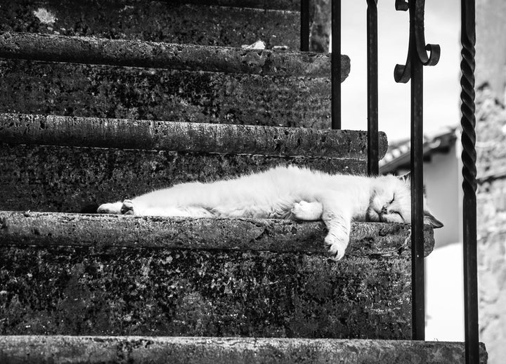 Ljuddämpande tavla - Slow Life
